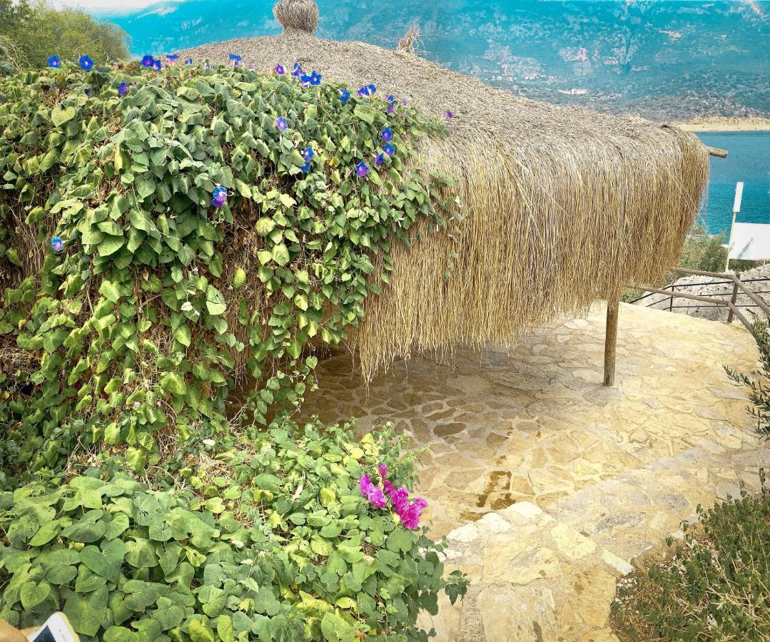 Club Hotel Barbarossa Kaş Extérieur photo