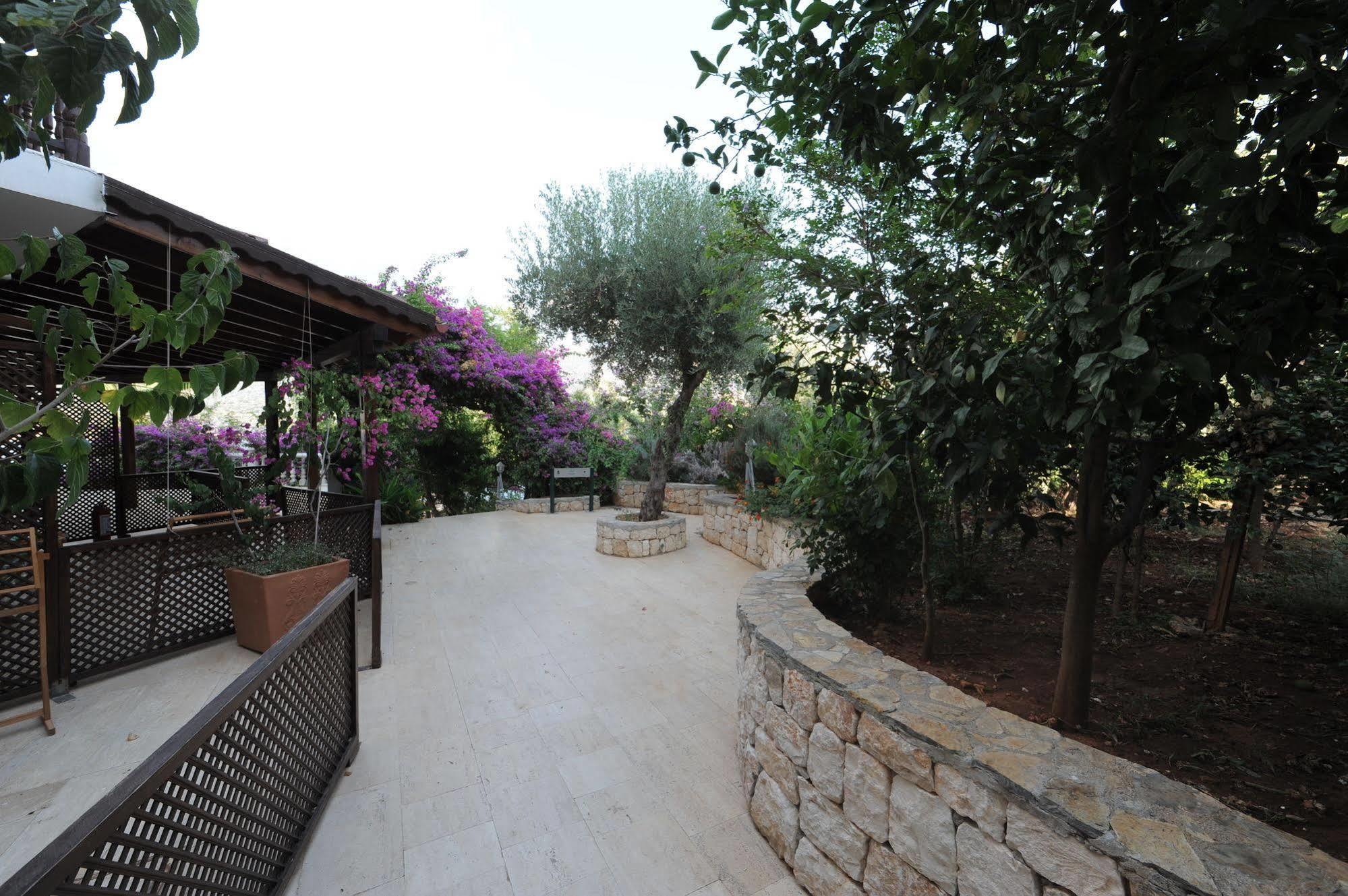 Club Hotel Barbarossa Kaş Extérieur photo