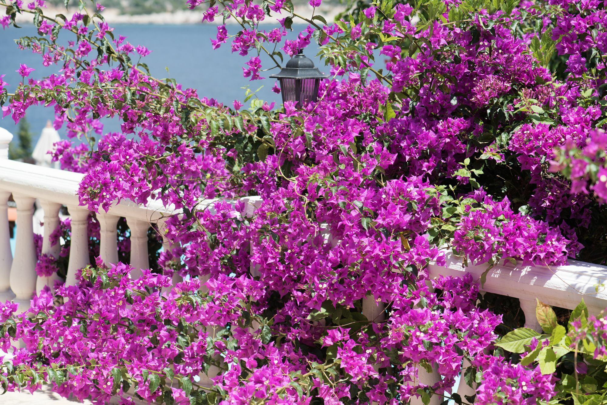 Club Hotel Barbarossa Kaş Extérieur photo
